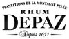 Depaz Logo der Marke Depaz
