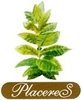 Logo der Marke Placeres