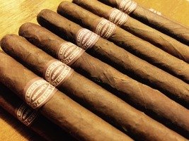 Zigarren Kuba Regulares Rafael Gonzalez Slenderellas