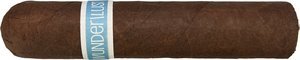 Zigarren Nicaragua  RoMa Craft Petite Gordo (PG County)