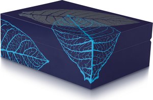 Zino Humidor Leaf Graphic blau (51000226)