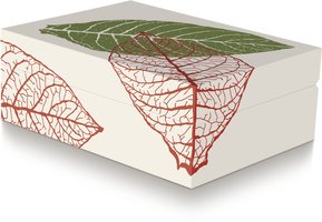 Zino Humidor Leaf Graphic beige (100259)