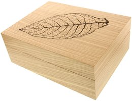 Zino Humidor Z 60 Eiche natur (112388)