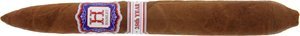 Zigarren Nicaragua  Rocky Patel Salomon