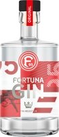 R(h)eingin Gin Fortuna (0,5 l / 42 % Vol.)