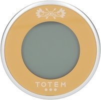 Totem Measuring Instruments Temperature &amp; Humidity Recorder