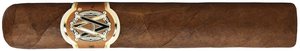 Zigarren Dominikanische Republik  AVO Robusto