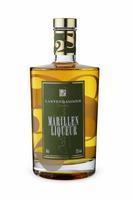 Spirituosen Likör  Lantenhammer Marillenliqueur 25% 0,05 Liter (2011)