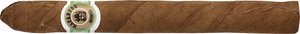 Macanudo Connecticut (ehemals Café) Ascots