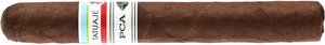 Zigarren Nicaragua  Tatuaje PCA 2023 Limited Edition