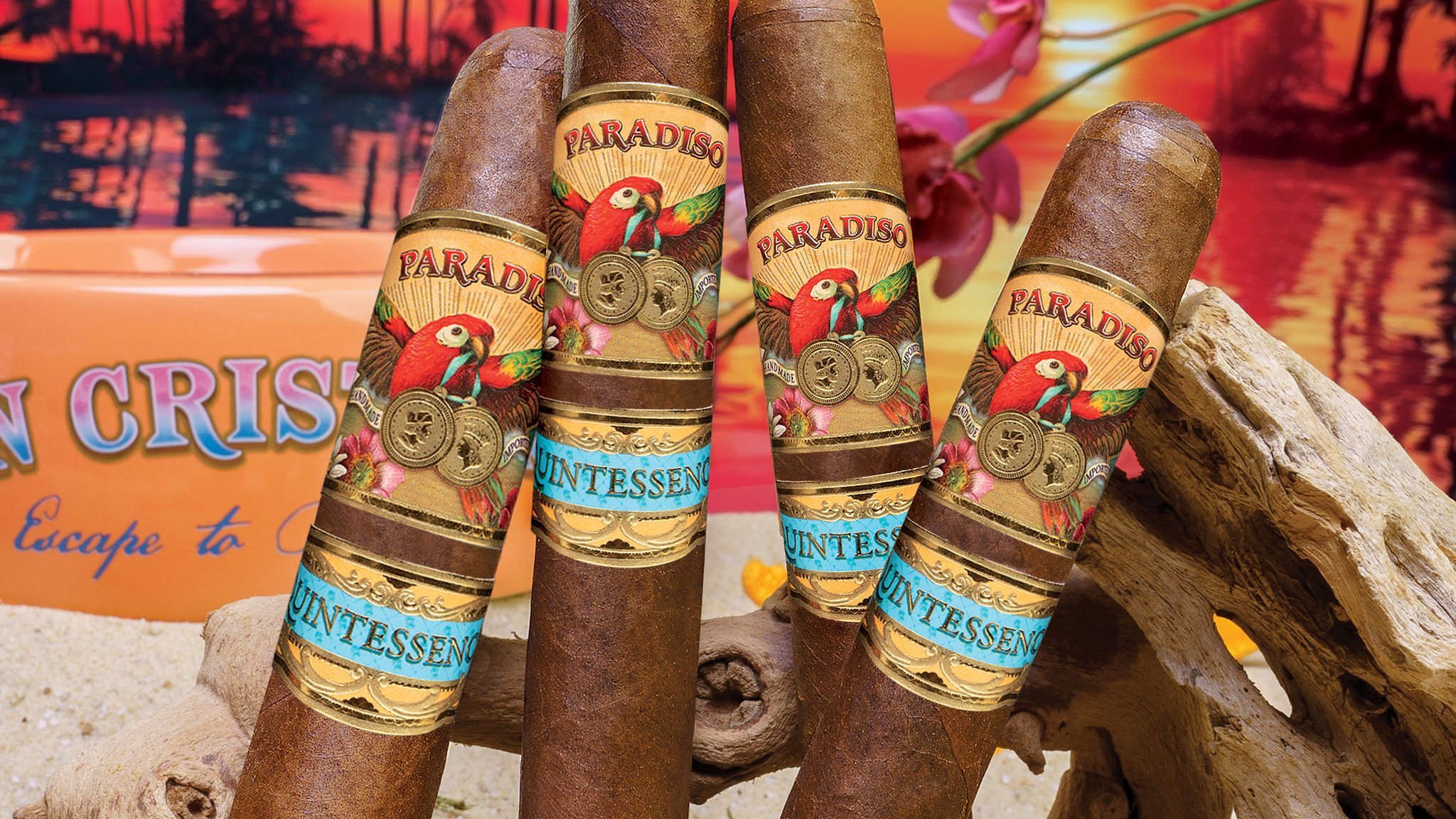 Paradiso Quintessence Robusto