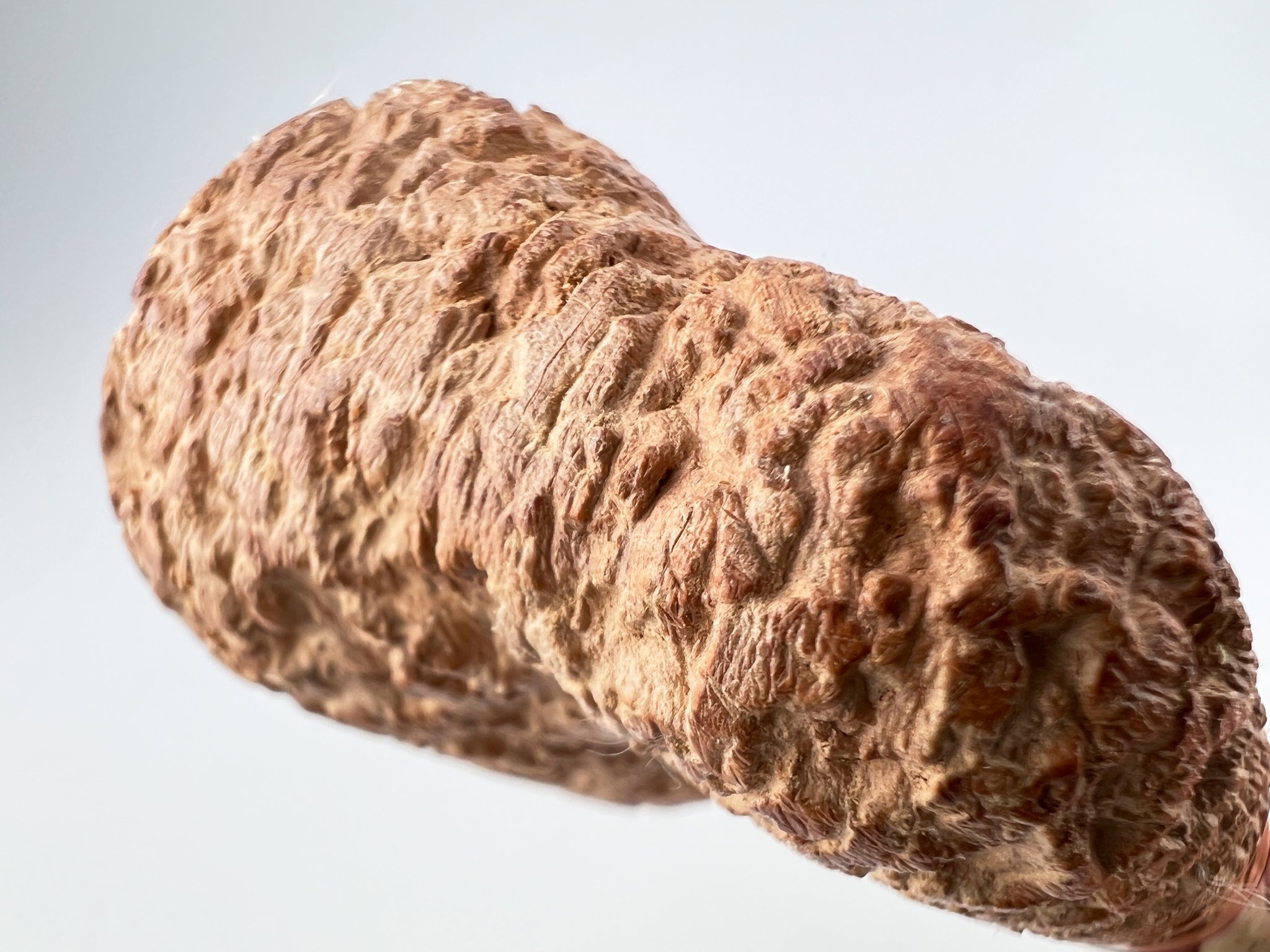 Castello Pfeifen Sea Rock Category KKKK (Nr. 75) Detailbild 2