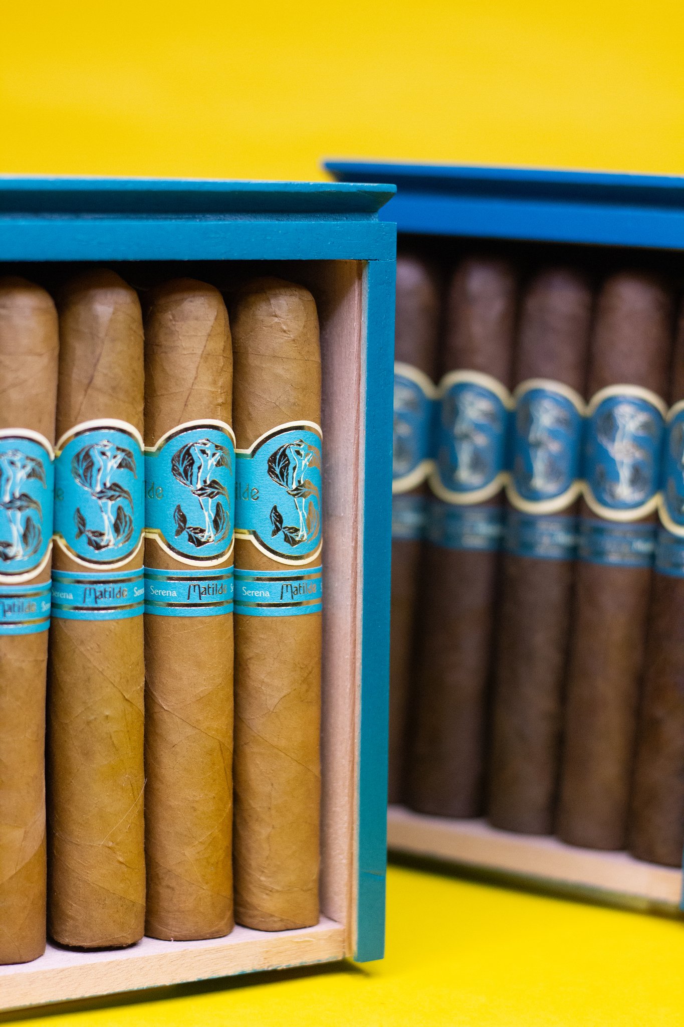 Matilde Serena Robusto