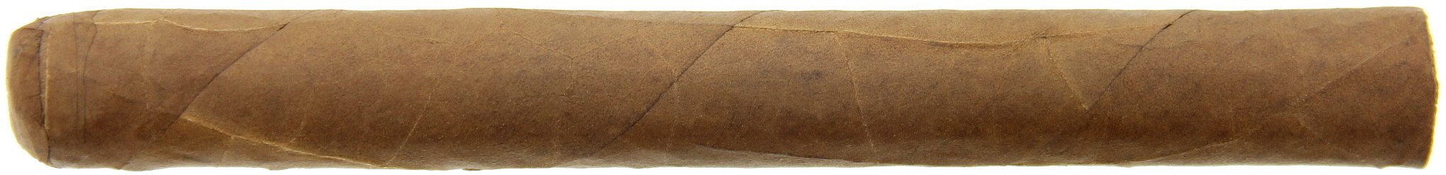 Flor del Sol Churchill