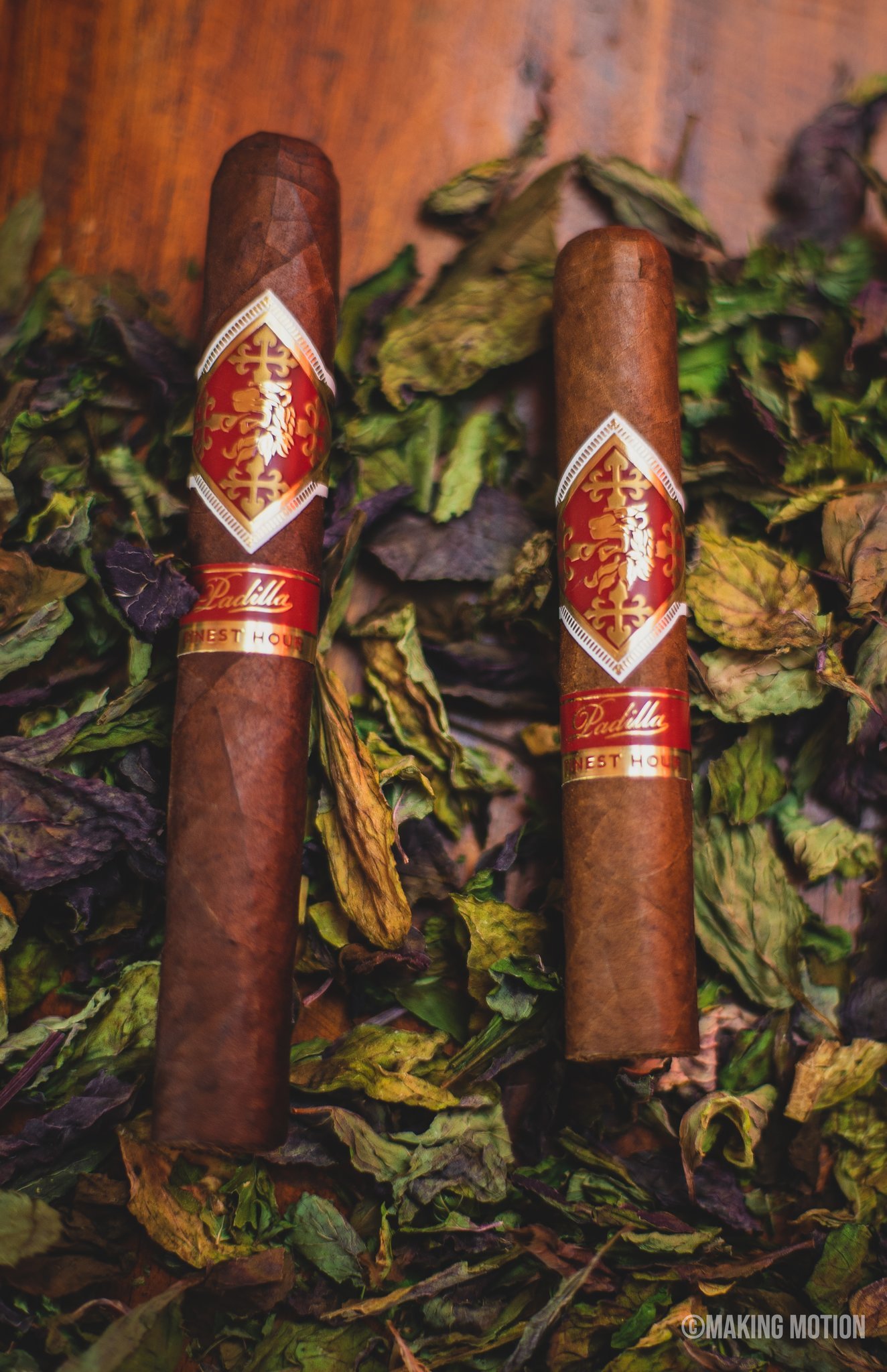 Padilla Finest Hour Sungrown