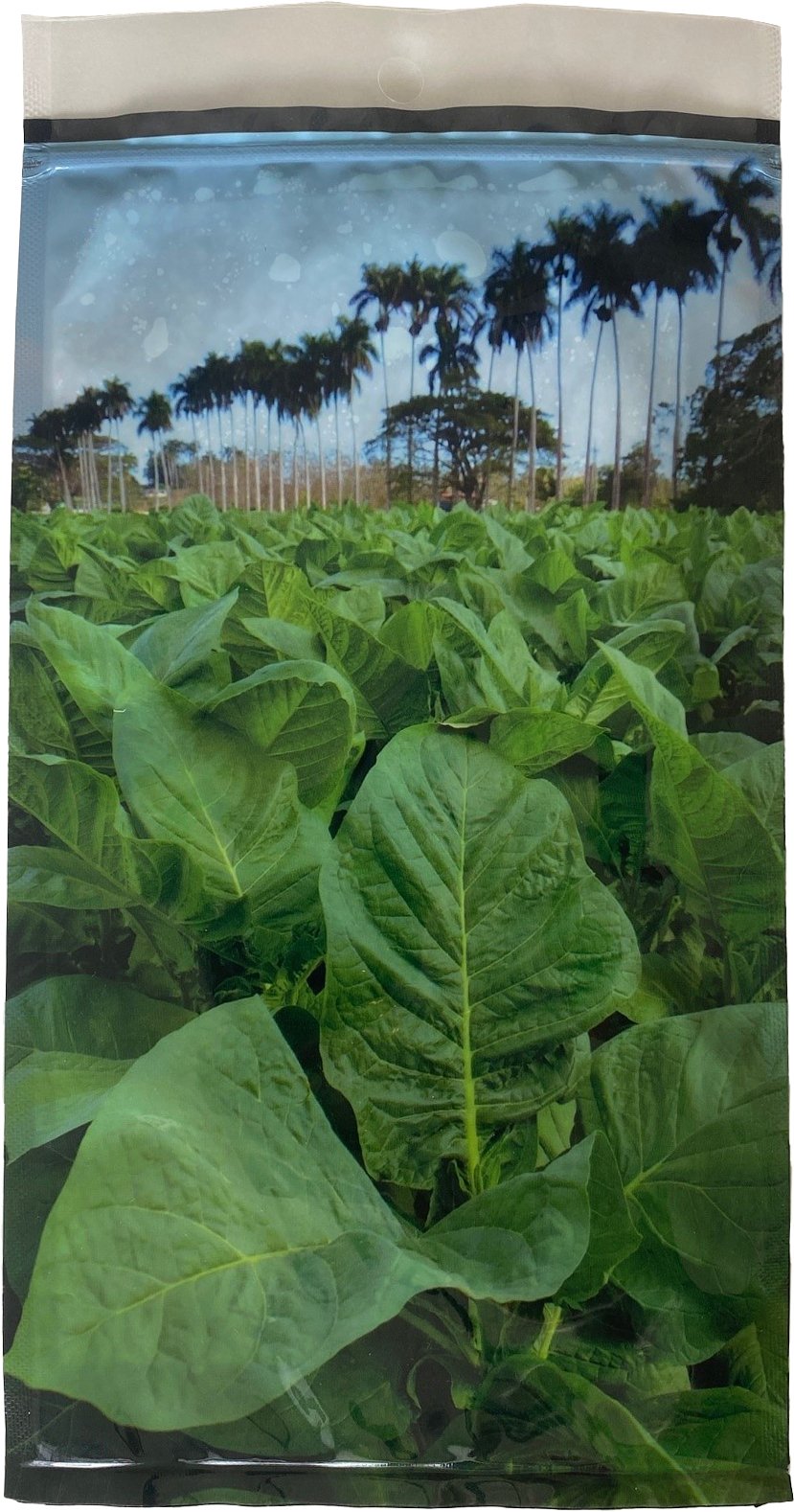 Classic Humidity Bag finest specialties from cuba schwarz (6397820) Rückseite