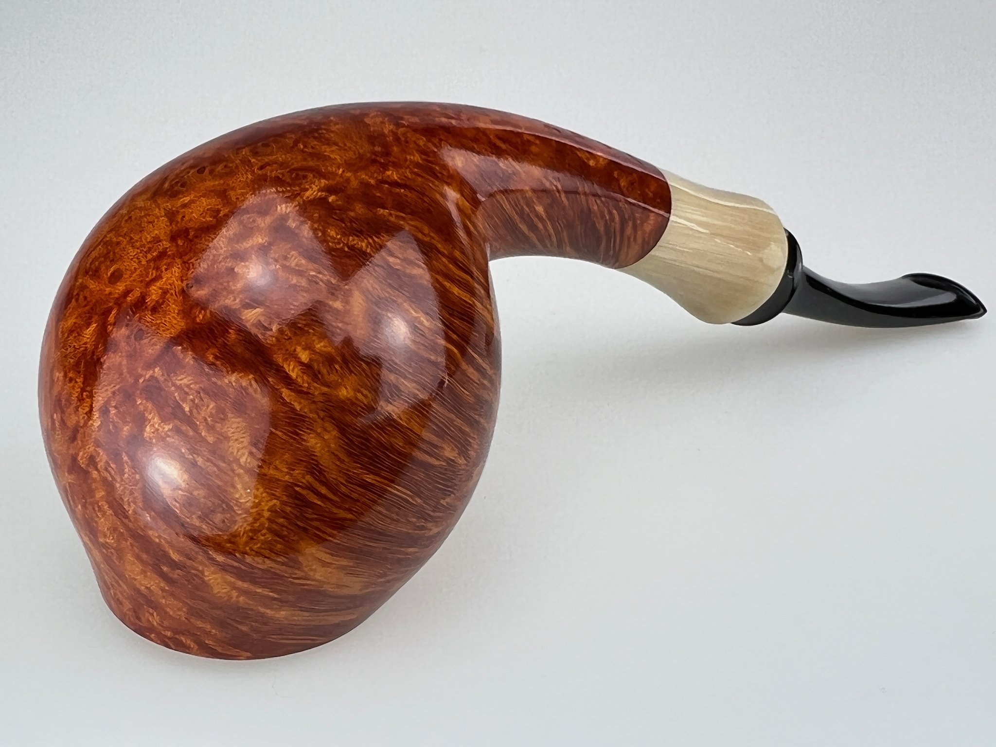 Rainer Barbi Tulip 02