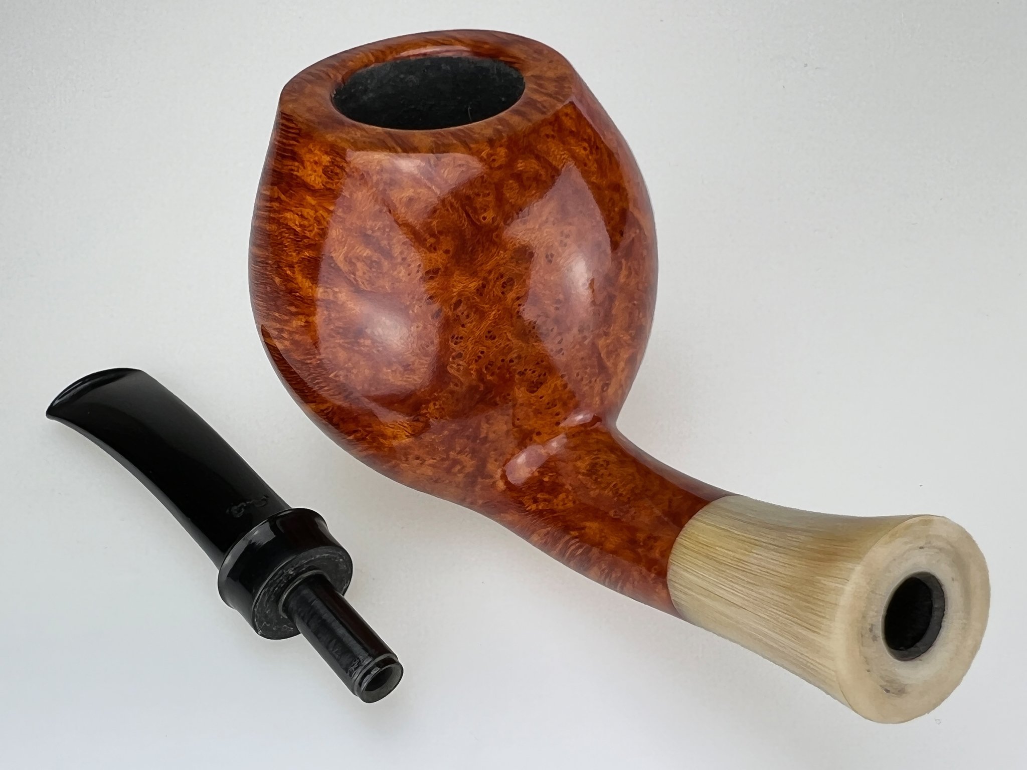 Rainer Barbi Tulip 04