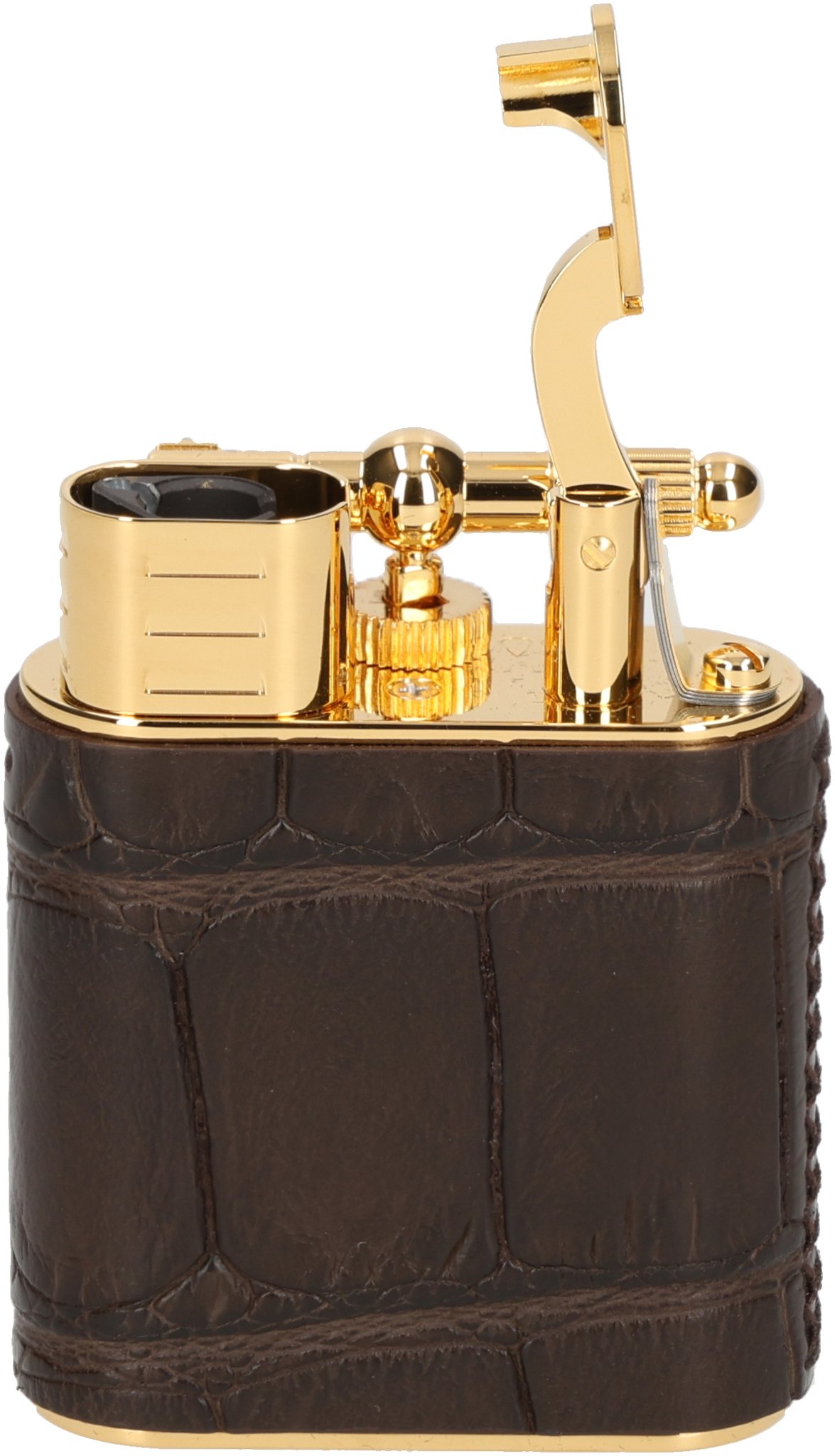 Aligator Gold Plated brown offen frontal vorn