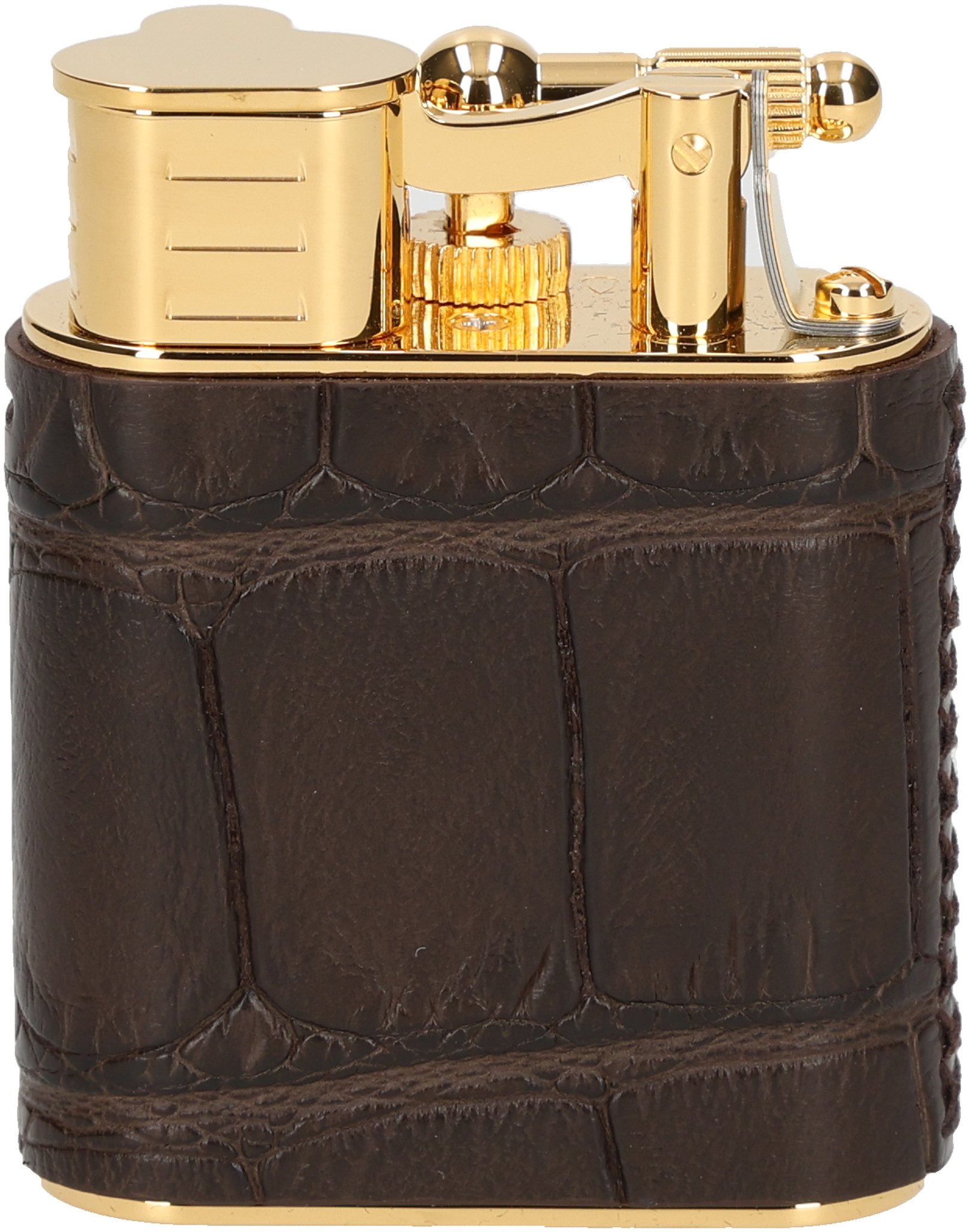 Aligator Gold Plated brown vorn frontal