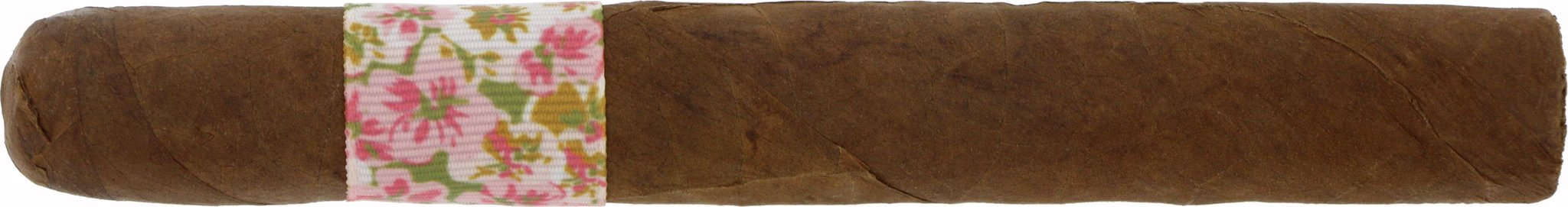 Dalay Artisan Series Box 24 von 30 Zigarre