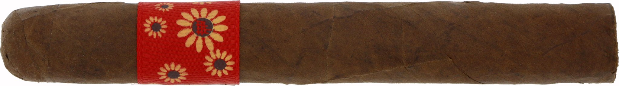 Dalay Artisan Series Box 10 von 30 (Einzelzigarre)