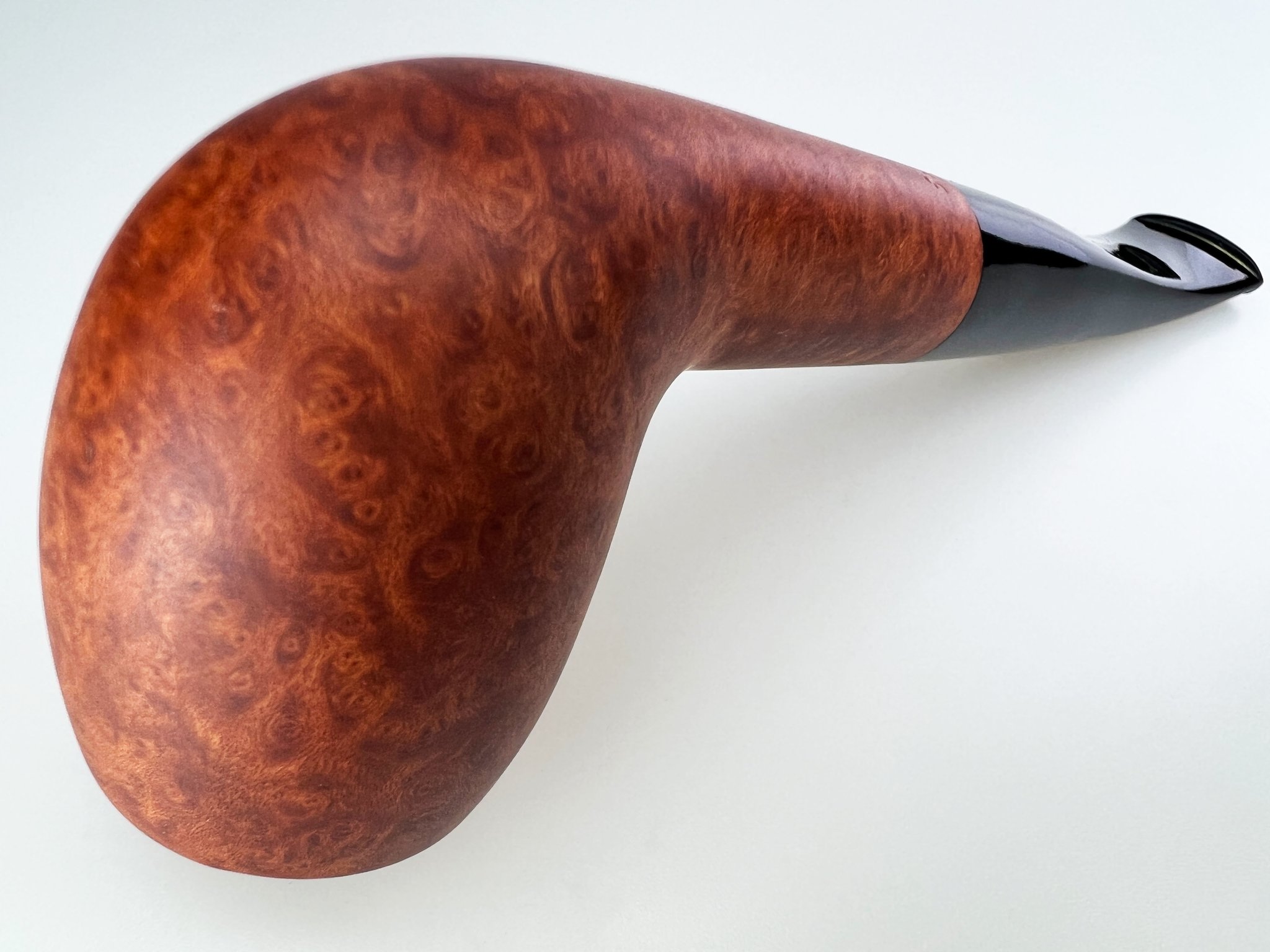 Brigham Acadian #59 Detailbild 2