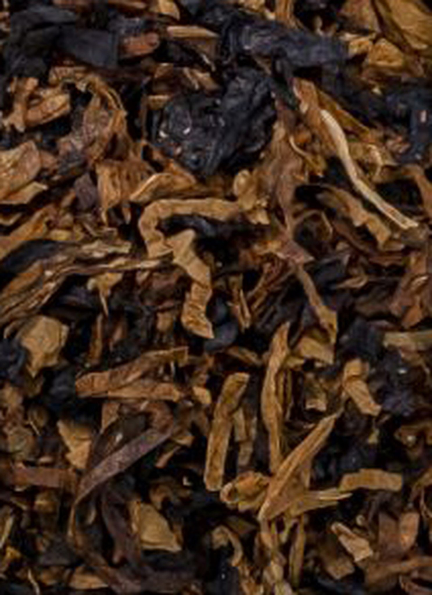 Caribbean Blue Wynne Schnitt