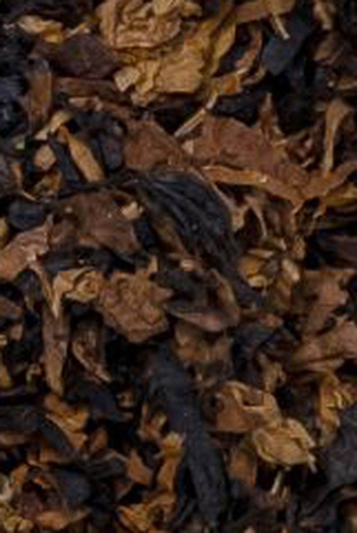 Caribbean Blue Seegar Schnitt