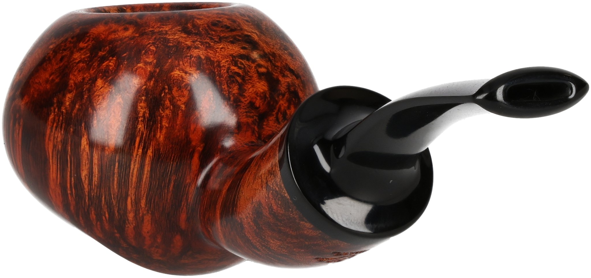 (int Nr. 24) Wasp_02