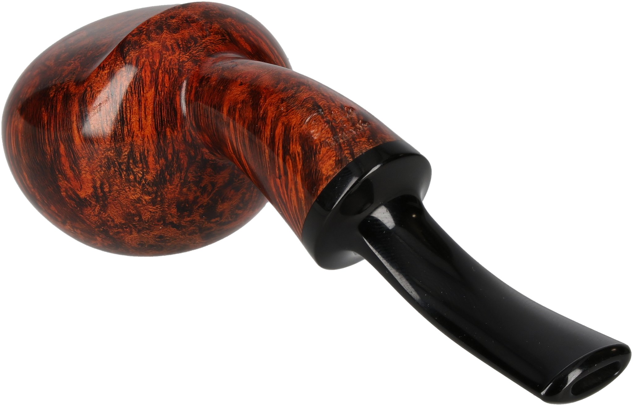 (int Nr. 24) Wasp_04