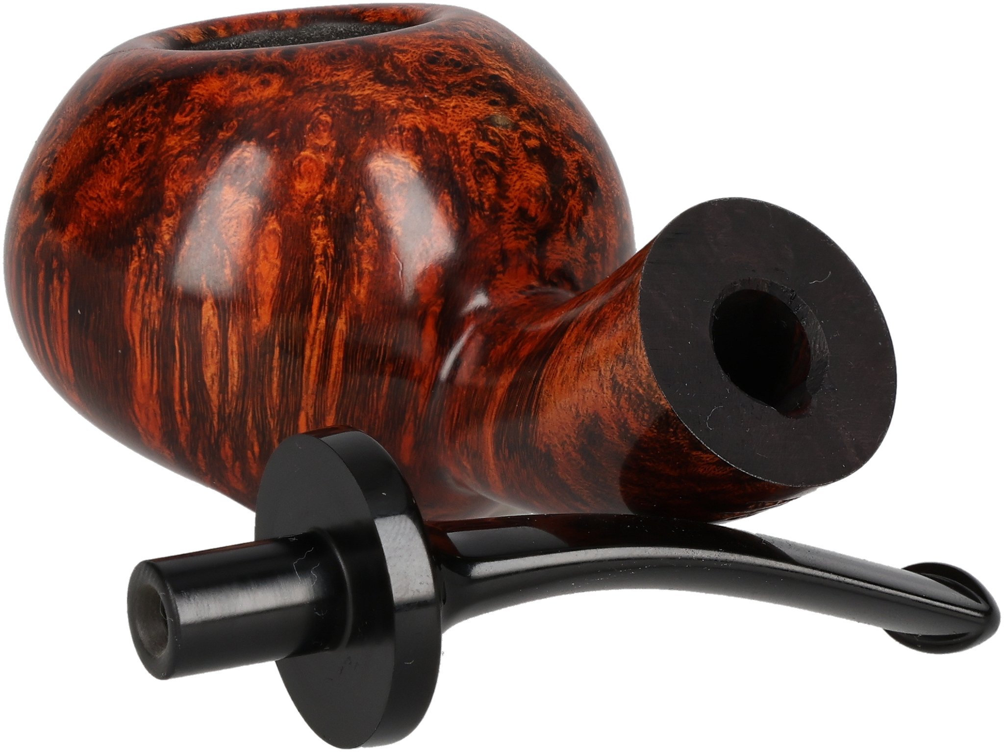 (int Nr. 24) Wasp_05