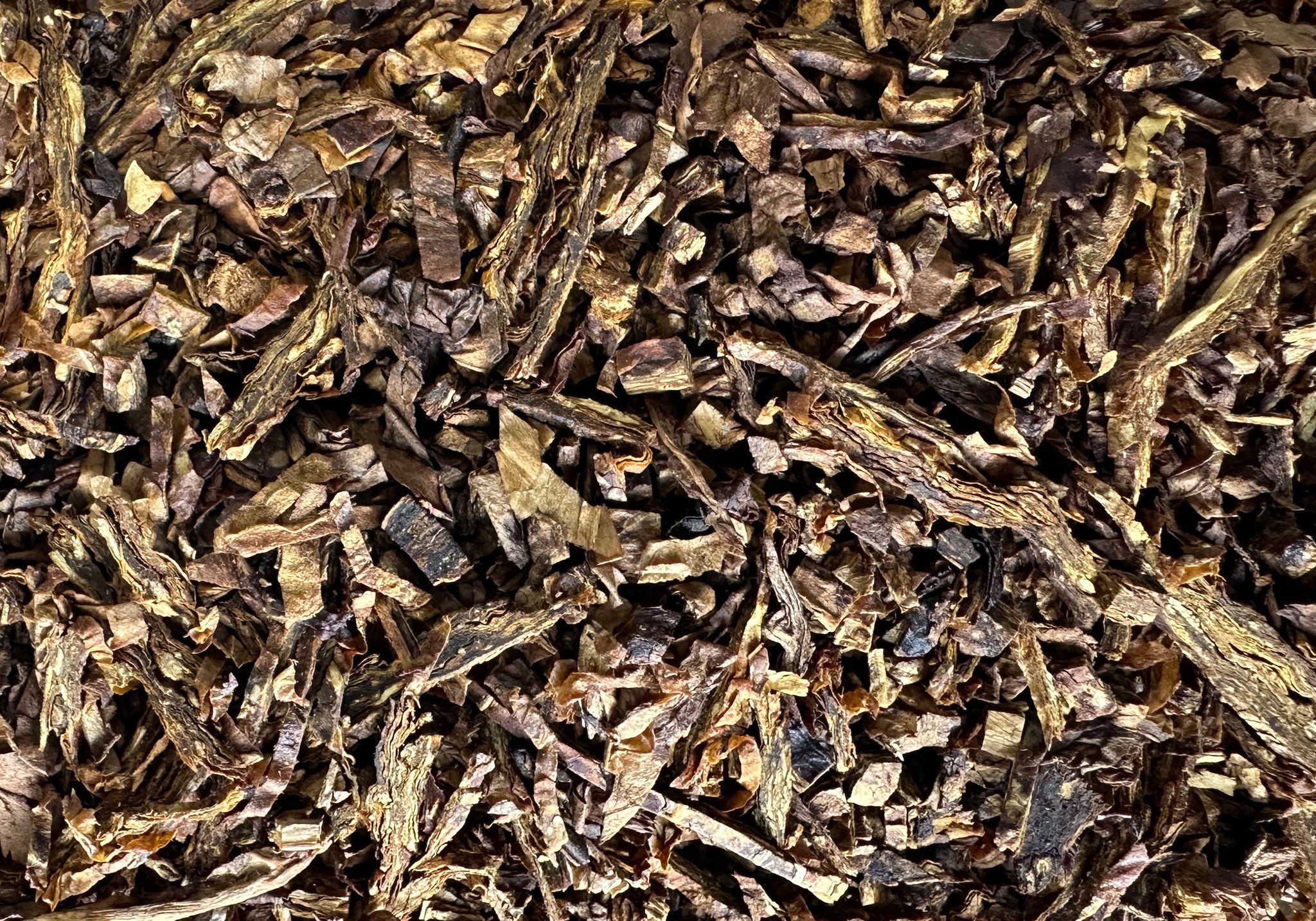 2026 4th Generation Schnitt