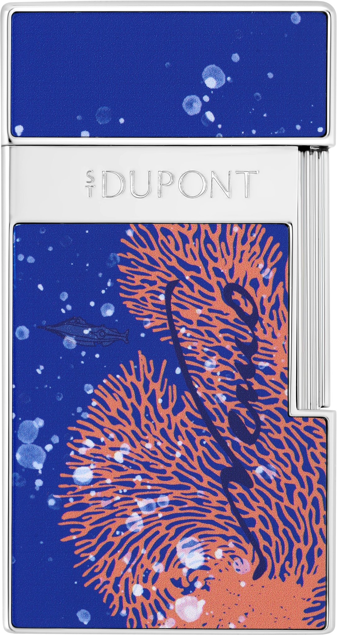 Biggy  Vanikoro vorn