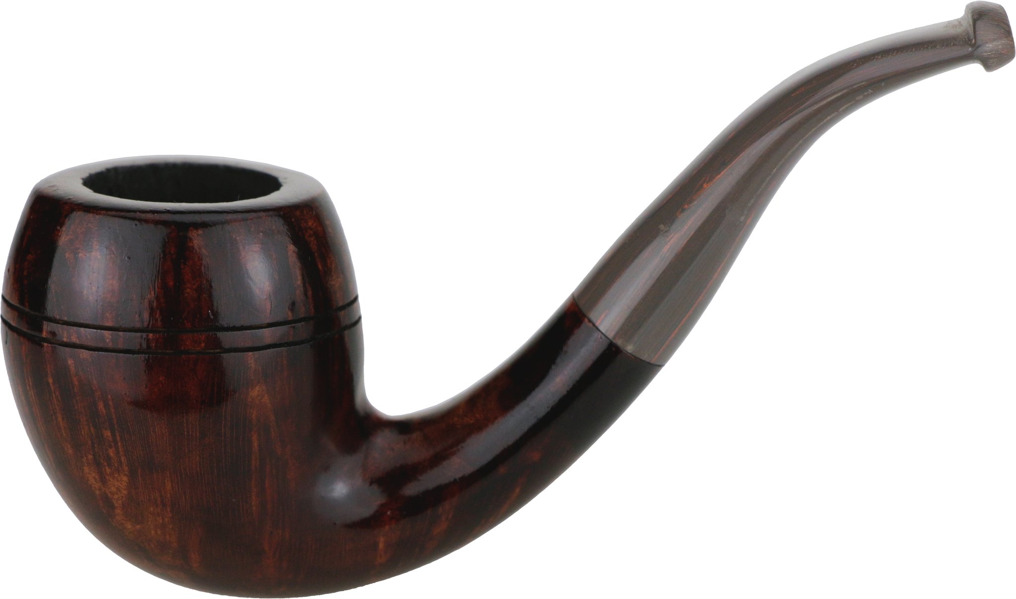 Small Rhodesian glatt dunkelbraun