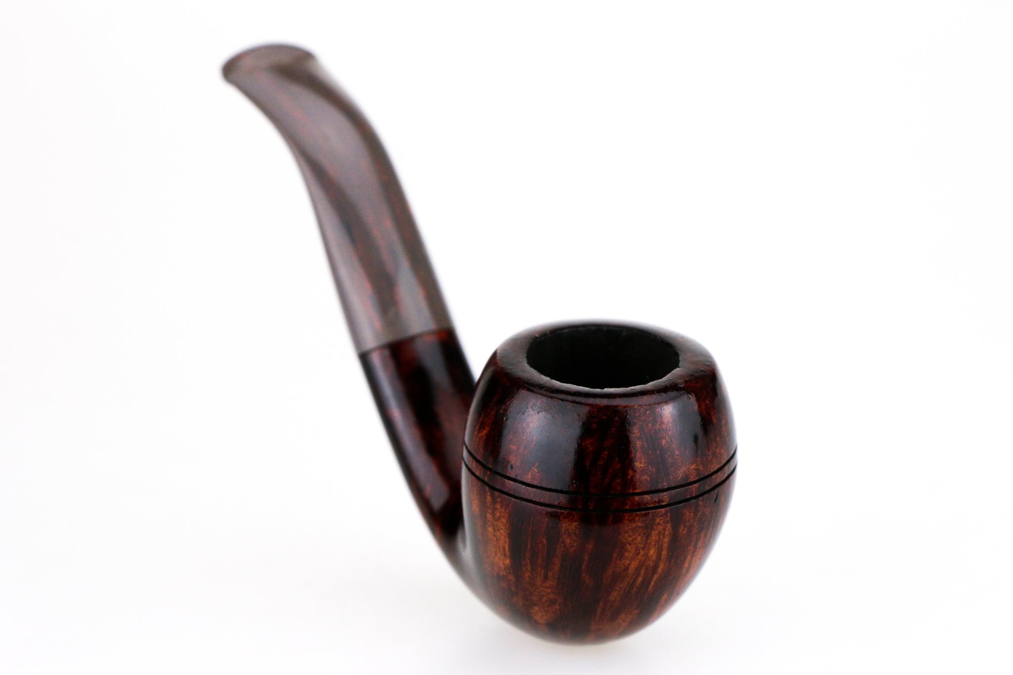 Small Rhodesian glatt dunkelbraun Detail 2