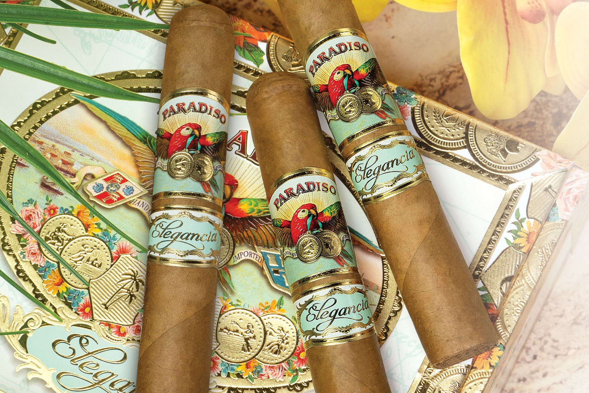 Paradiso Elegancia Robusto