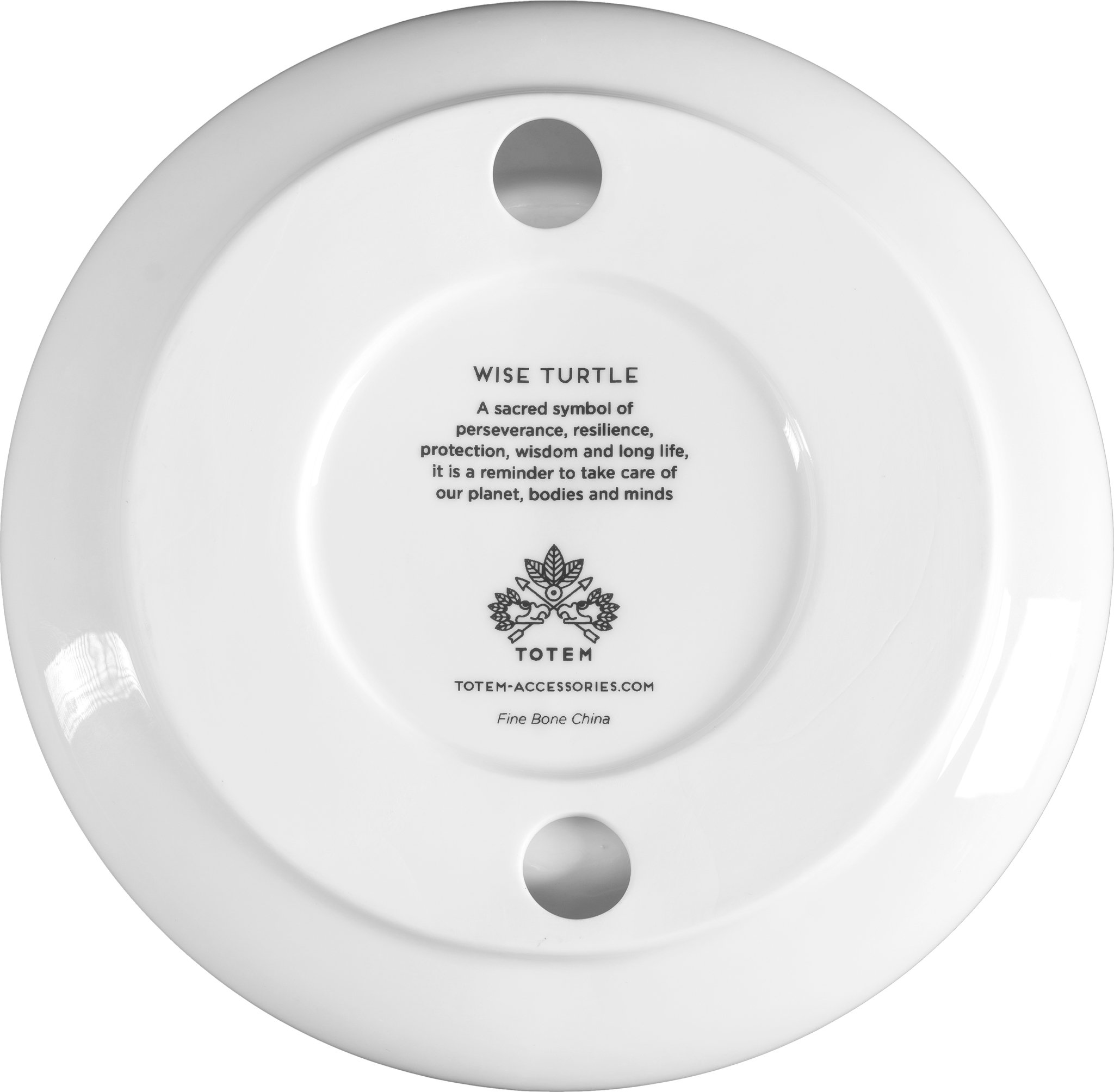 Wise Turtle Unterseite