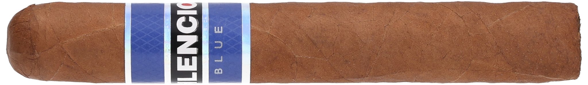 Blue Robusto 2