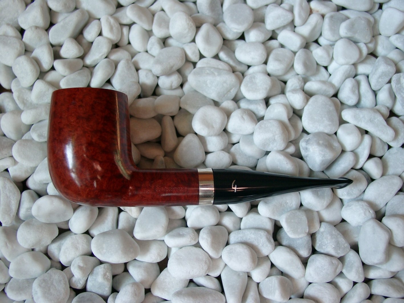 Giordano Stella Stella 14110