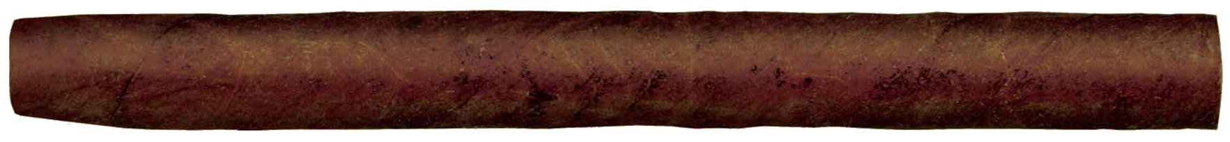 Schuster Phone APPS Sumatra