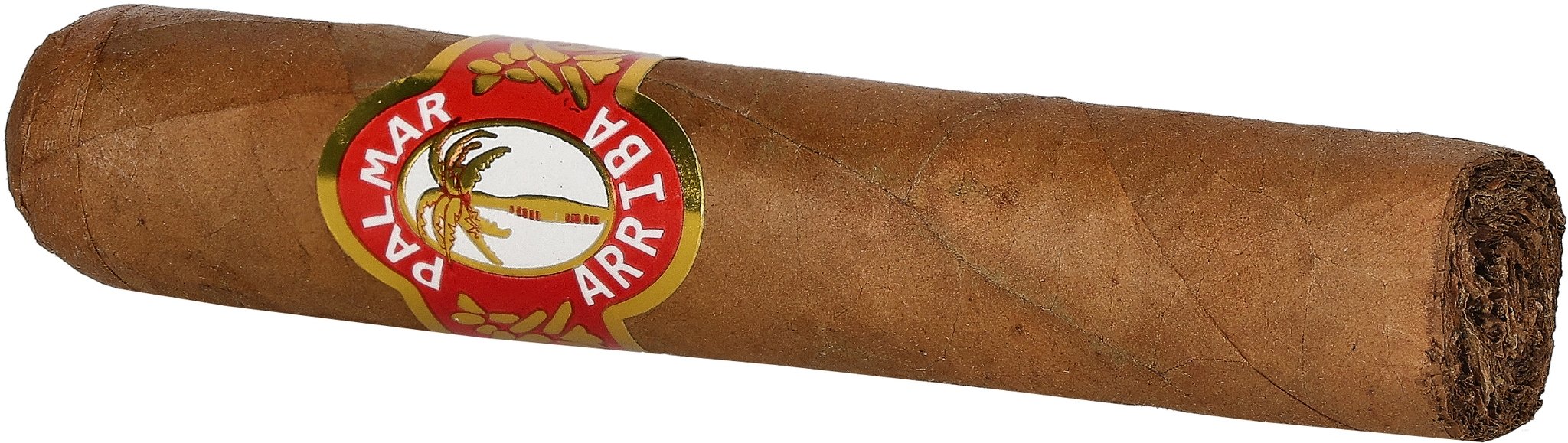 Palmar Arriba Petit Robusto_02