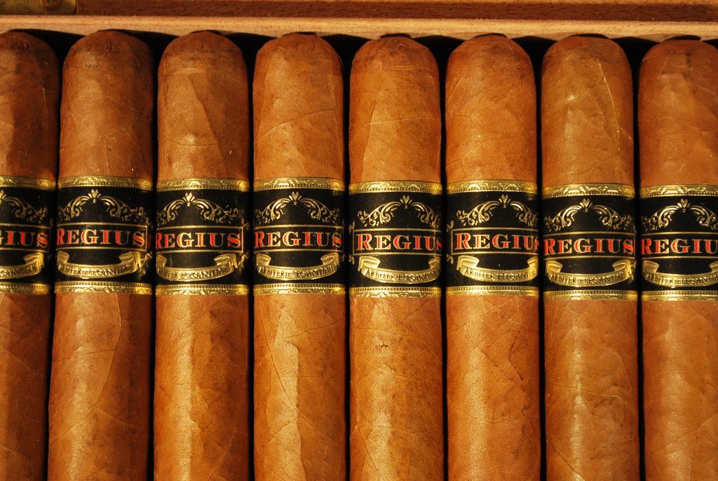 Regius Robusto 25er Kiste Detailbild 2