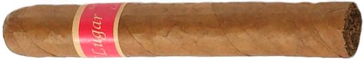 El Lugar Robusto