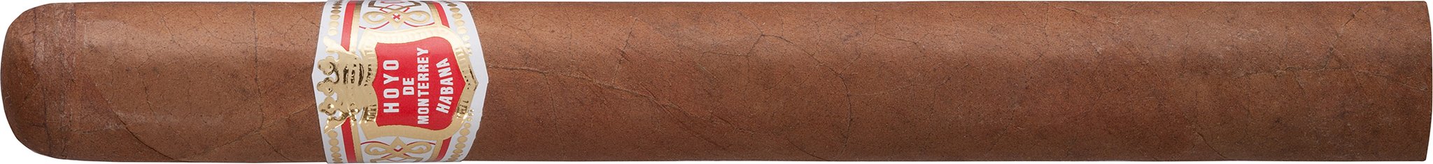 Hoyo de Monterrey Palmas Extra