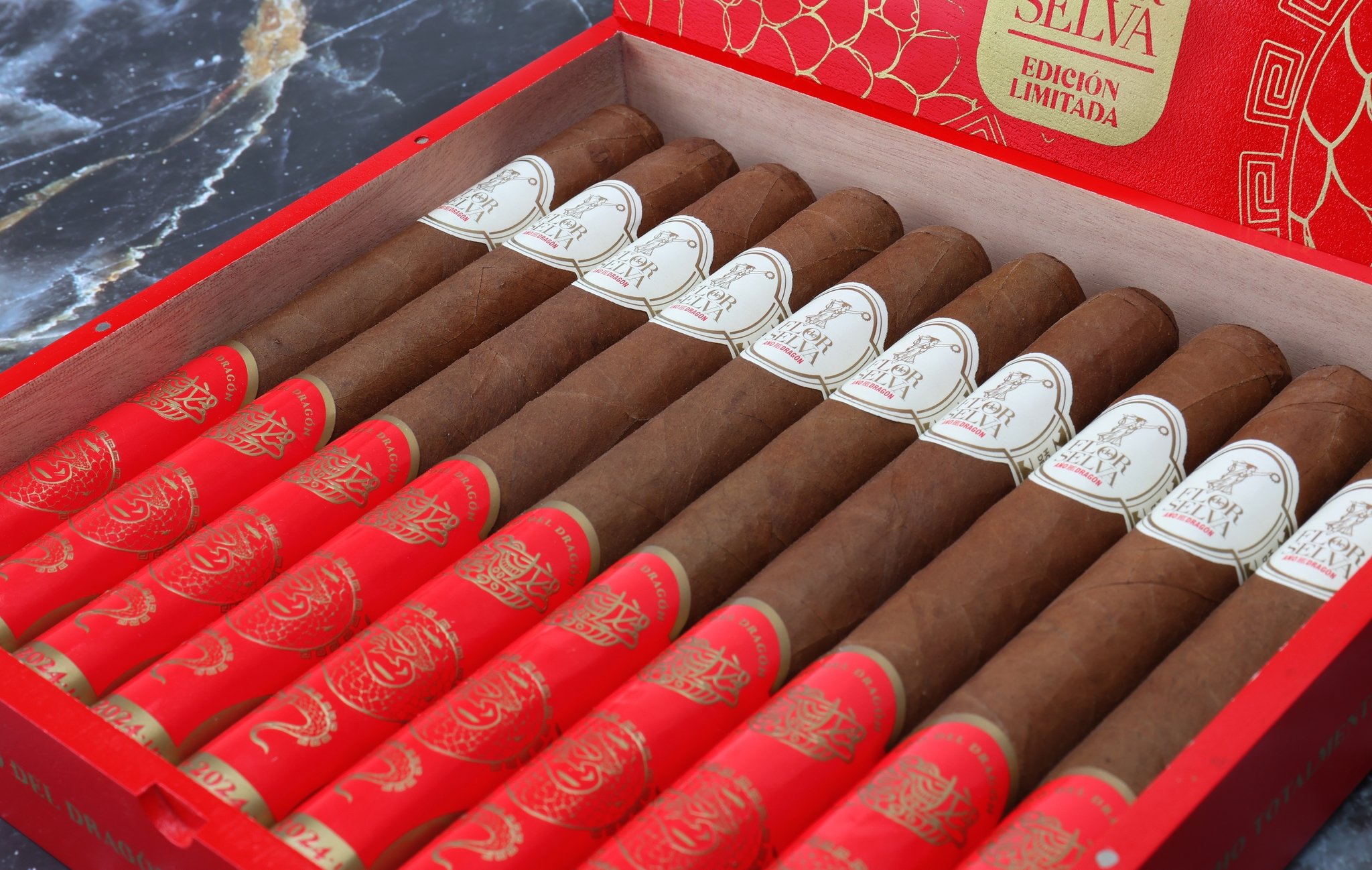 Year of the Dragon Mood 5