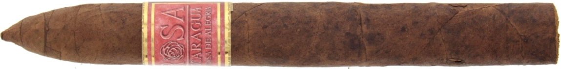 Rosa Nicaragua Torpedito