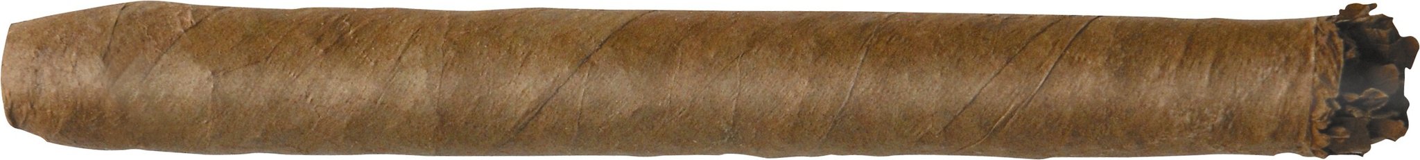 Hofnar Sumatra Wilde Senoritas