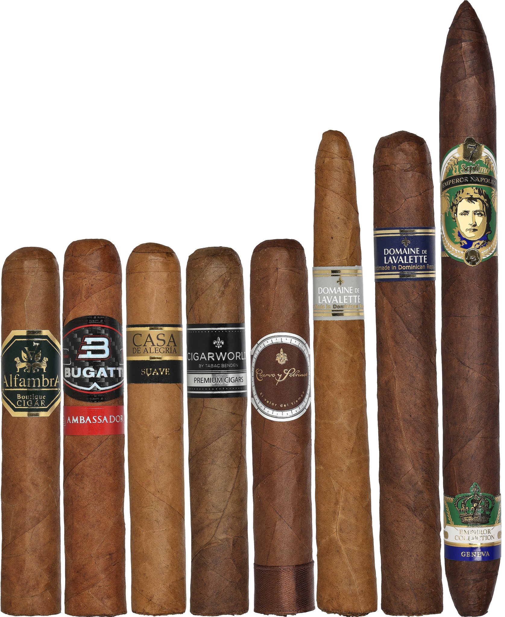 XXL-Sampler Exklusiv_Zigarre