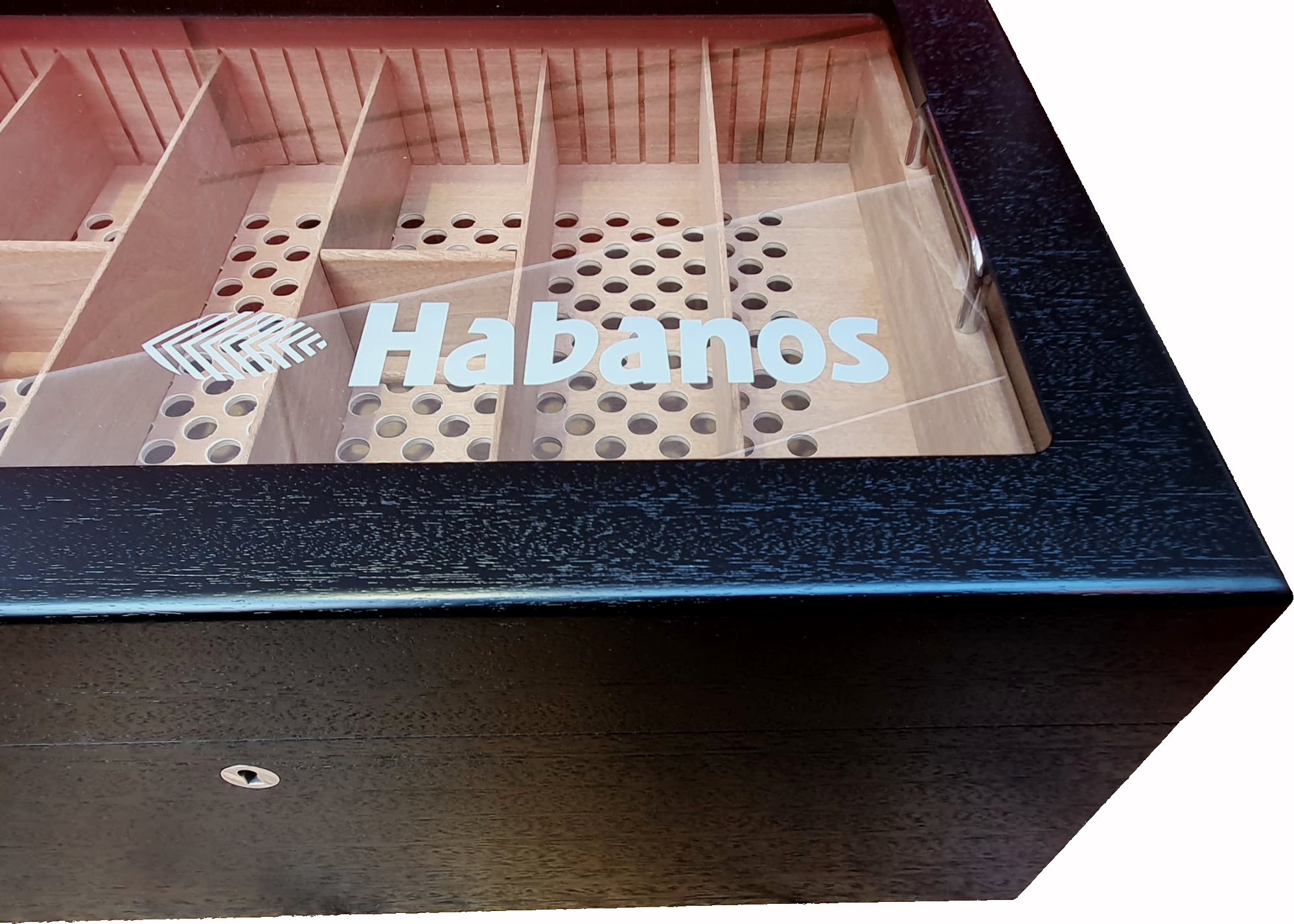 Habanos Markenhumidor Gastrohumidor 2019 Seidenschwarz (6396930) Detailbild